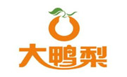 北京大鸭梨餐饮有限公司