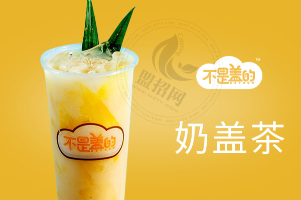不是蓋的奶蓋茶