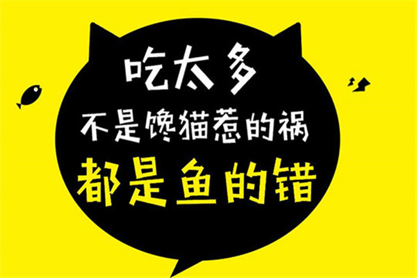 魚的錯