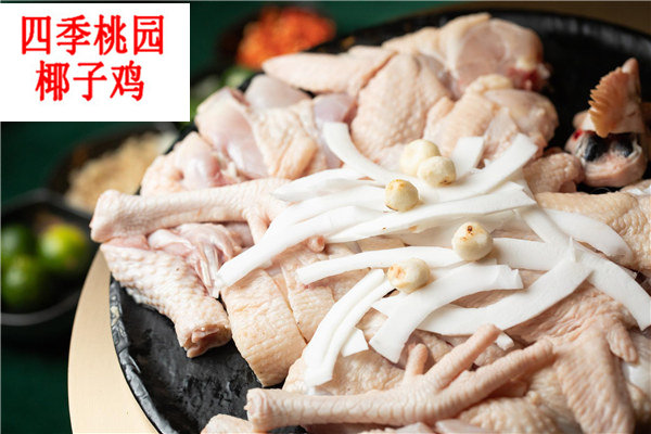 四季桃园椰子鸡