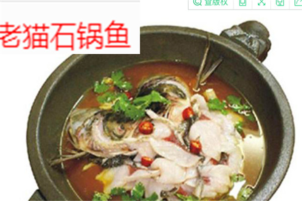 老猫石锅鱼