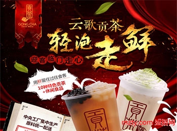 云歌贡茶店加盟