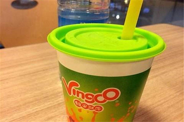 代理維果部落要多少錢？維果部落的代理店多嗎？