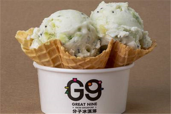 g9分子冰淇淋加盟怎么样