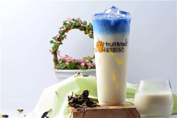 鲜果遇到茶代理多少钱?代理鲜果遇到茶都有什么支持呢?