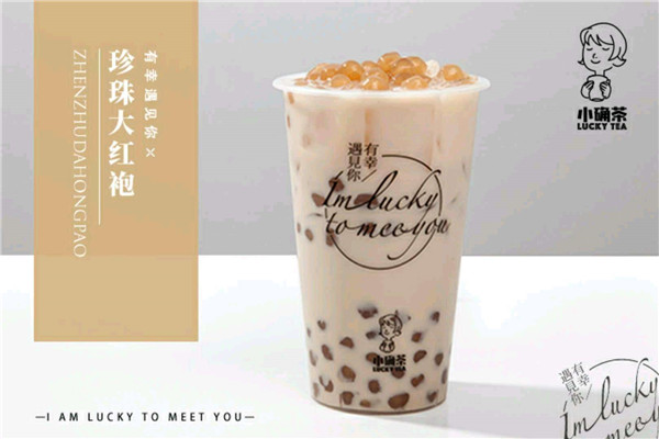 小确茶代理如何?代理小确茶怎么样?