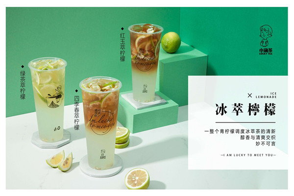 小确茶代理如何?代理小确茶怎么样?