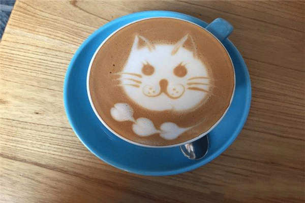 猫窝咖啡加盟多少钱