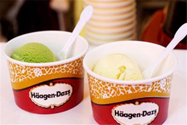 哈根达斯冰淇淋加盟怎么样
