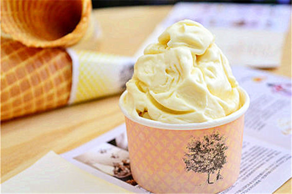 帝娜朵拉意大利手工冰淇淋
