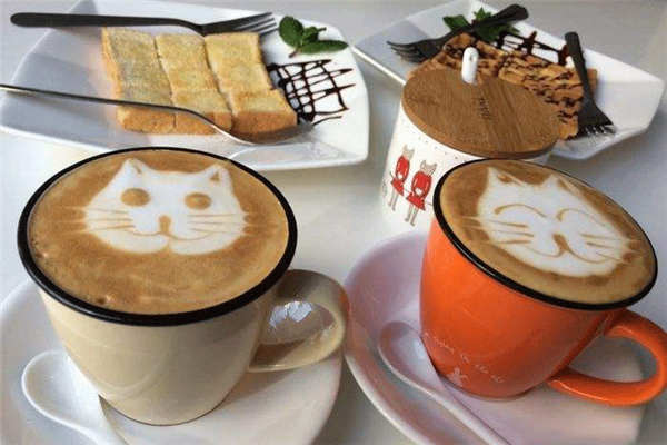 猫窝咖啡加盟条件