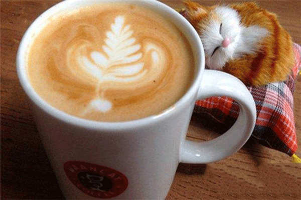 漫猫咖啡生意好吗
