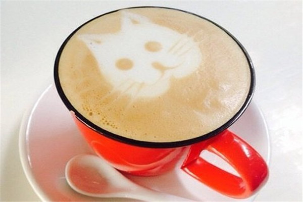 猫窝咖啡加盟怎么样