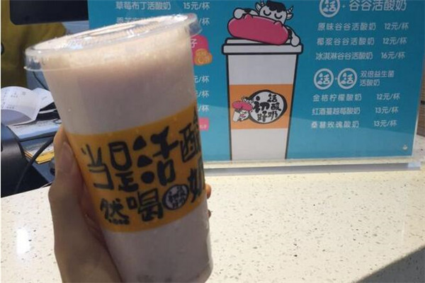 初好活酸奶如何代理?代理初好活酸奶的價值如何?