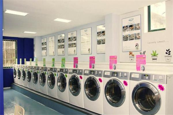 威特斯国际洗衣店赚钱吗