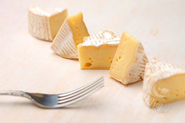 苏记奶酪加盟费多少
