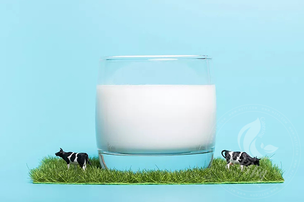 阿咪仙巴牦牛鲜奶
