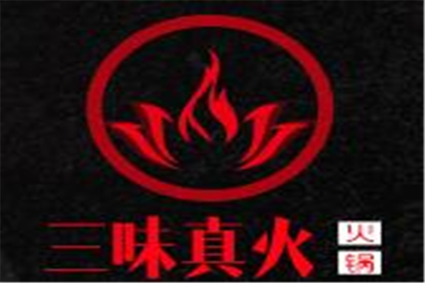 秦皇岛合纵力科技开发有限公司