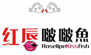红唇啵啵鱼
