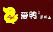 爱鸭