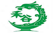 禾谷炒饭