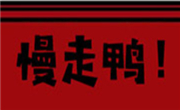 慢走鸭鸭货
