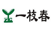 镇江一枝春餐饮管理有限公司
