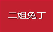 二姐兔丁加盟总部