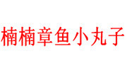 楠楠章鱼小丸子