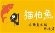 猫怕鱼木桶喷泉火锅