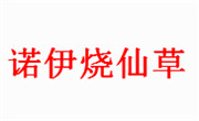 诺伊烧仙草