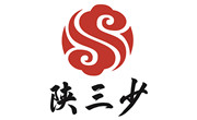 陕三少肉夹馍