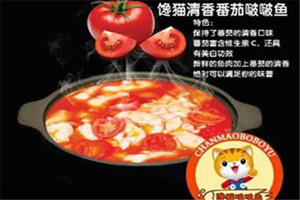馋猫啵啵鱼