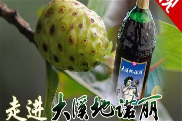 大溪地诺丽果汁