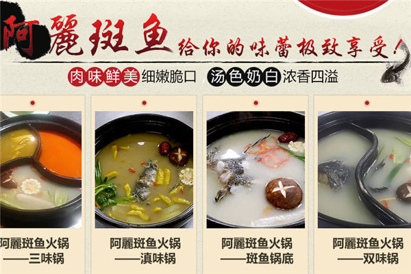 阿麗斑鱼