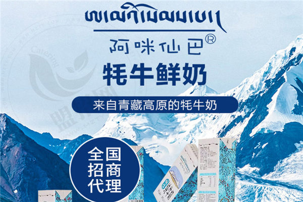 阿咪仙巴牦牛鲜奶