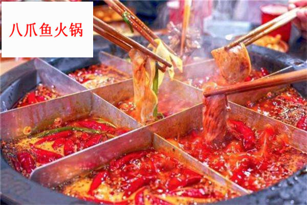 八爪鱼火锅