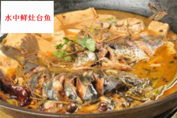水中鲜灶台鱼