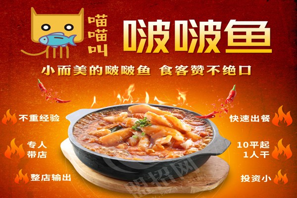 喵喵叫啵啵鱼