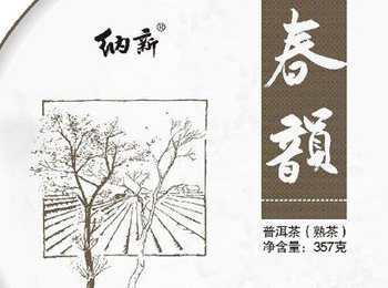 纳新茶业