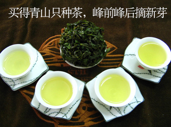 冠源茗茶加盟