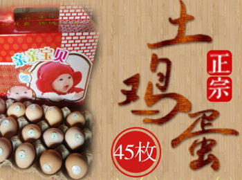 江苏盐城鸡蛋加盟