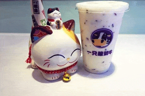 一只酸奶牛的前景如何