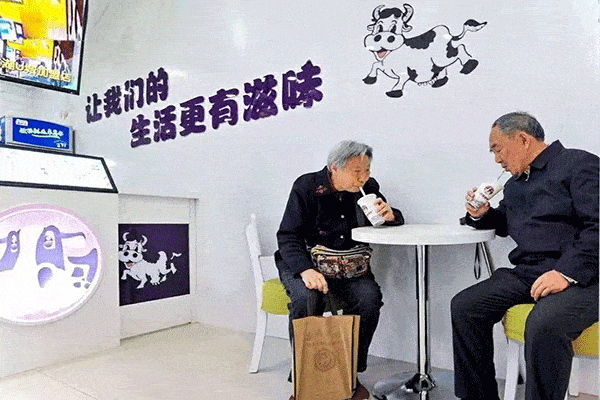 一只酸奶牛的前景如何