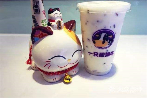 一只酸奶牛的前景如何