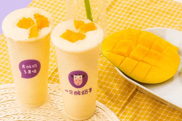 加盟一只酸奶牛挣钱吗