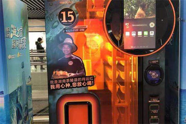 天使之橙亏钱了