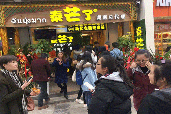 泰芒了总部在哪