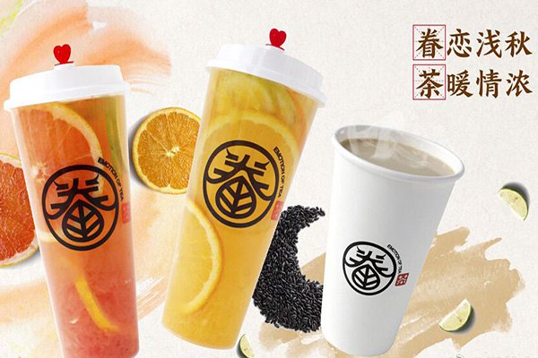 眷茶