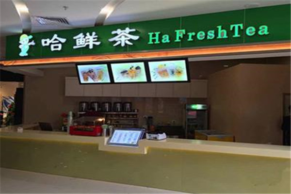 哈鲜茶